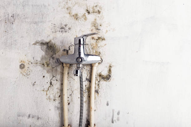 Best Mold Removal and Inspection  in Deshler, OH