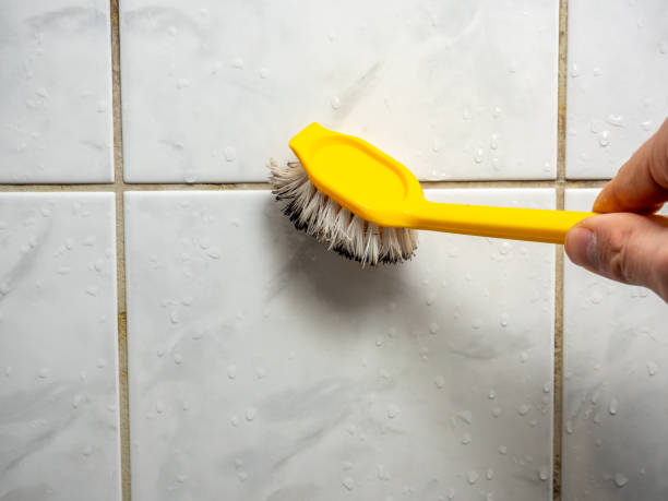 Best Mold Damage Repair  in Deshler, OH