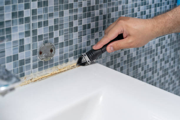Best Mold Testing  in Deshler, OH