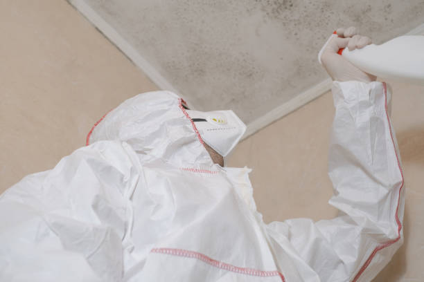 Best Affordable Mold Removal  in Deshler, OH