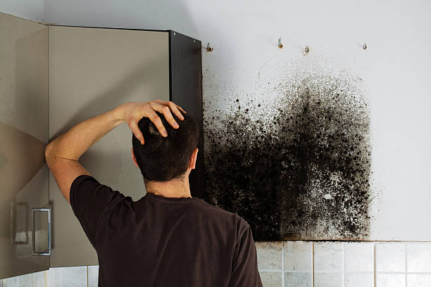 Best Crawl Space Mold Removal  in Deshler, OH